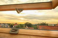 rated Epney roof window companies